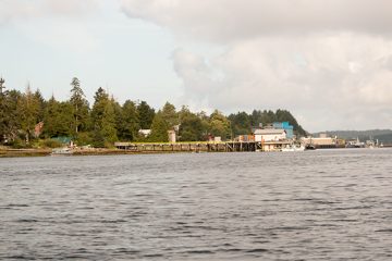 IMG_0867