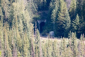 IMG_0475