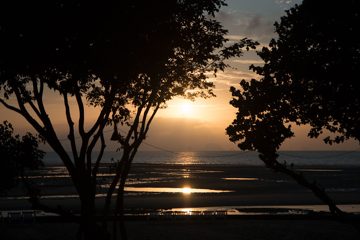 IMG_1012