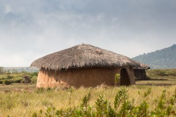 IMG_6497