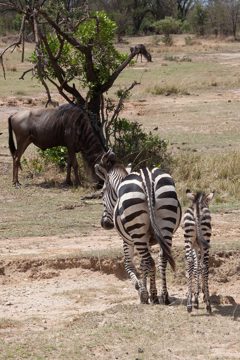 P-IMG_6932-2