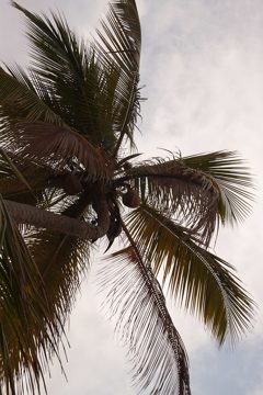 08032013-64.jpg