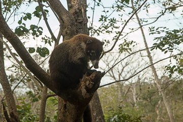 IMG_8796