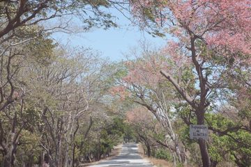 29022012-121.jpg