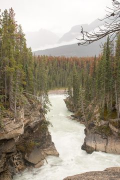 IMG_0137