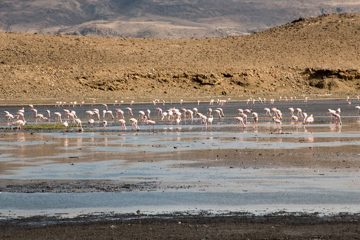 IMG_6891