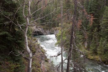 IMG_0030
