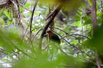 22022012-287.jpg