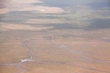 P-IMG_6417-2