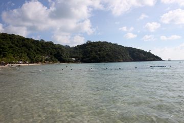 IMG_0786.jpg
