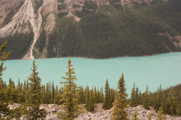IMG_0336