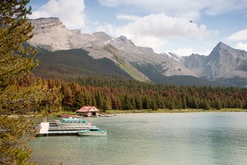 IMG_0036