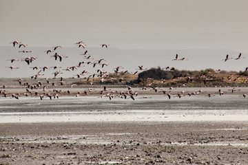 IMG_6902