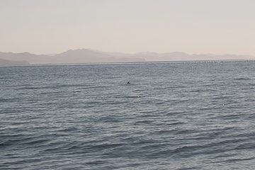 IMG_8832