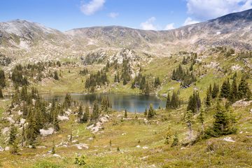 IMG_9938