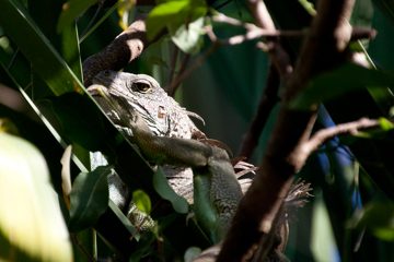 28022012-88.jpg