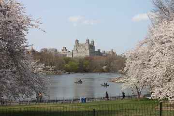 IMG_1345.jpg