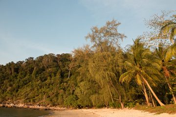 IMG_9618