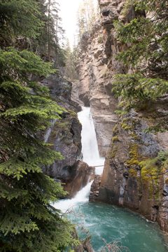 IMG_0555
