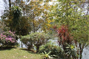 IMG_0607.jpg