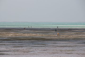 IMG_7947