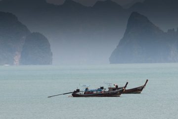 IMG_1181