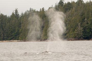 IMG_0769