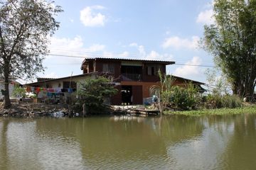 IMG_0253.jpg