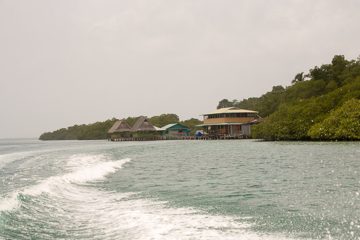 IMG_5326