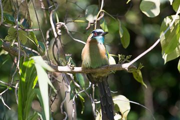 IMG_8672