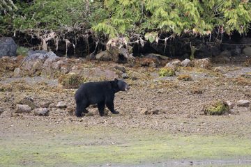 IMG_0814