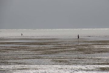 IMG_7893