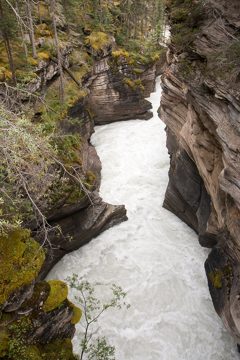 IMG_0094