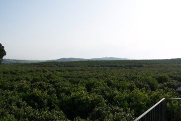 100_2205.jpg