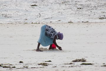 IMG_7900