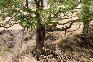 IMG_7155