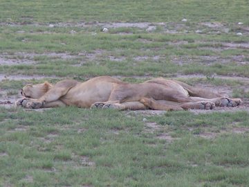 100_1362.jpg