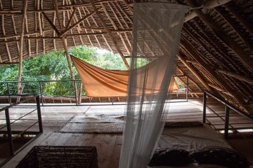 IMG_7934