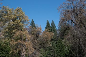 19042016-248
