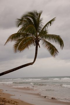 08032013-19-2.jpg