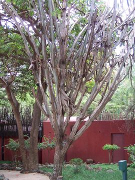 100_1307.jpg
