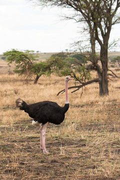 IMG_7179