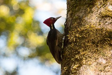 IMG_8688