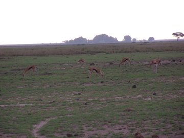 100_1274.jpg