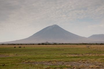 IMG_6862