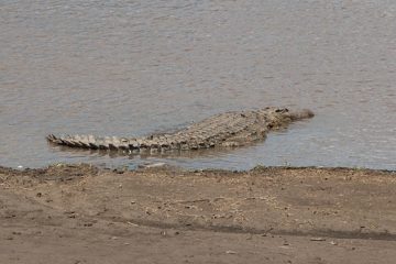 IMG_7658