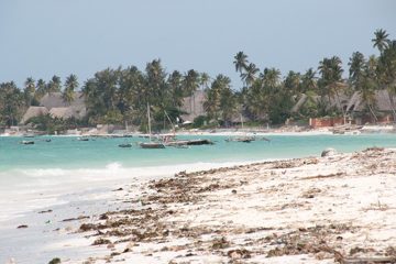 IMG_7857