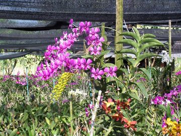 100_3355.jpg
