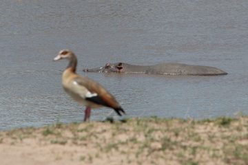 IMG_7629