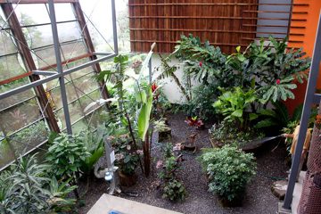 24022012-156.jpg